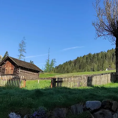 Netta'schtol